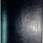 ESV Waterproof Bible